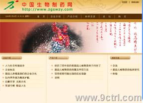 济南网站制作