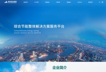 新能源建设之网站建设